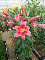 [5515 PO15 Ria No01.JPG]